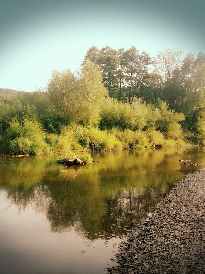 nature