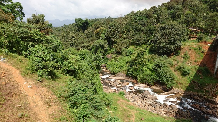 kerla wayanad..