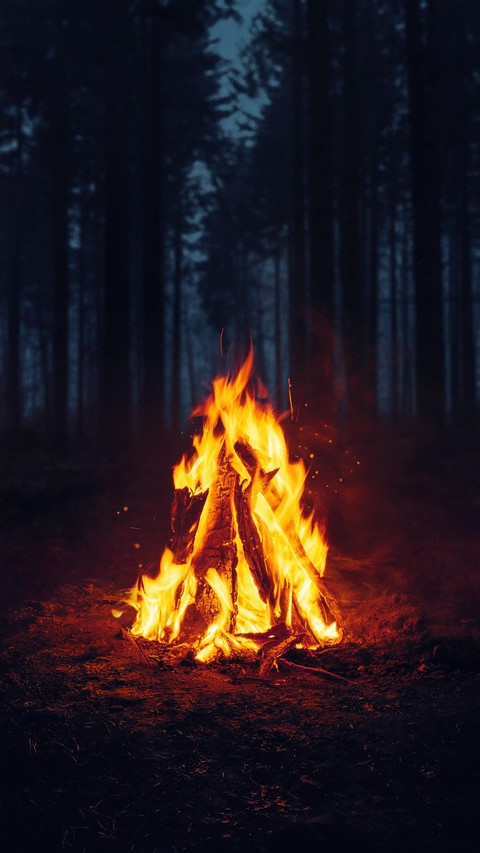 ταπετσαρίες night, Campfire