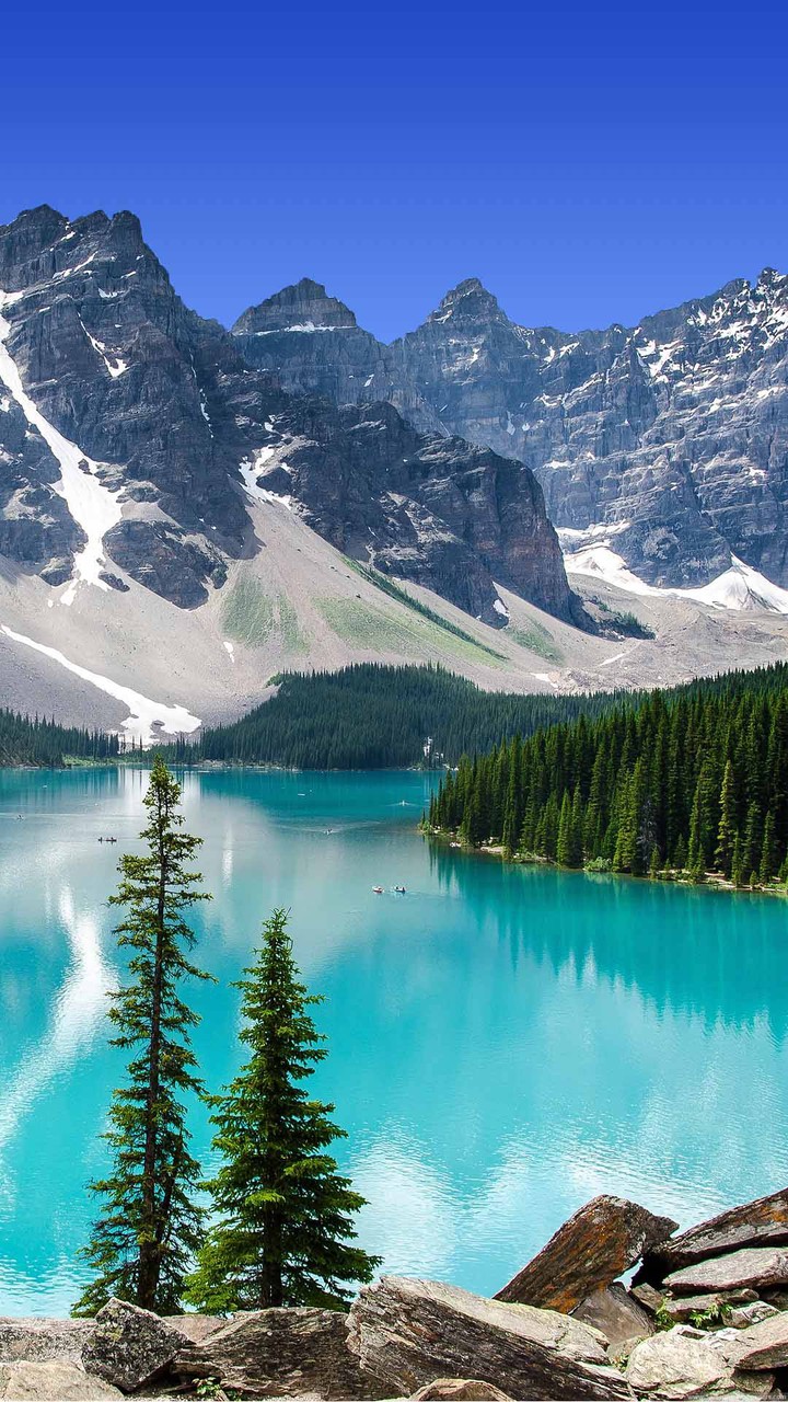 Nature
