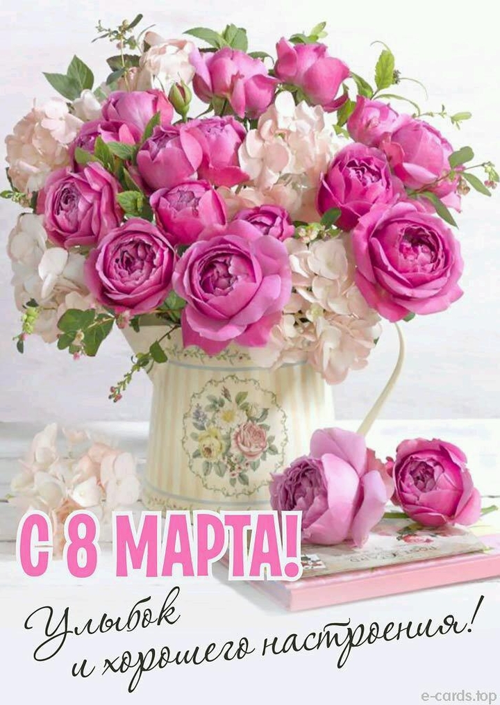 розовые розы мило?