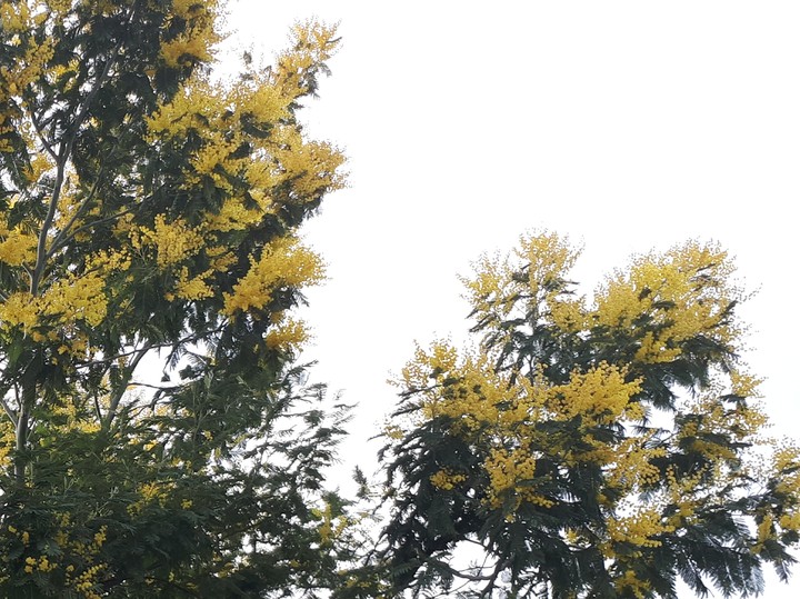 весна пришла