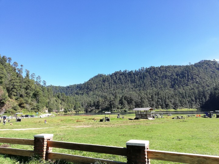 naturaleza