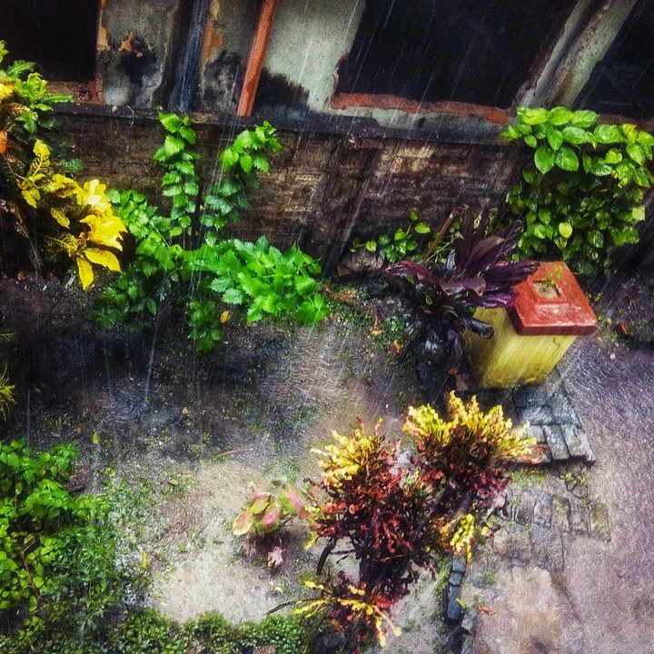 Its Raining