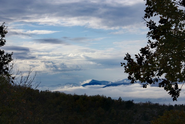 Peaceful landscape