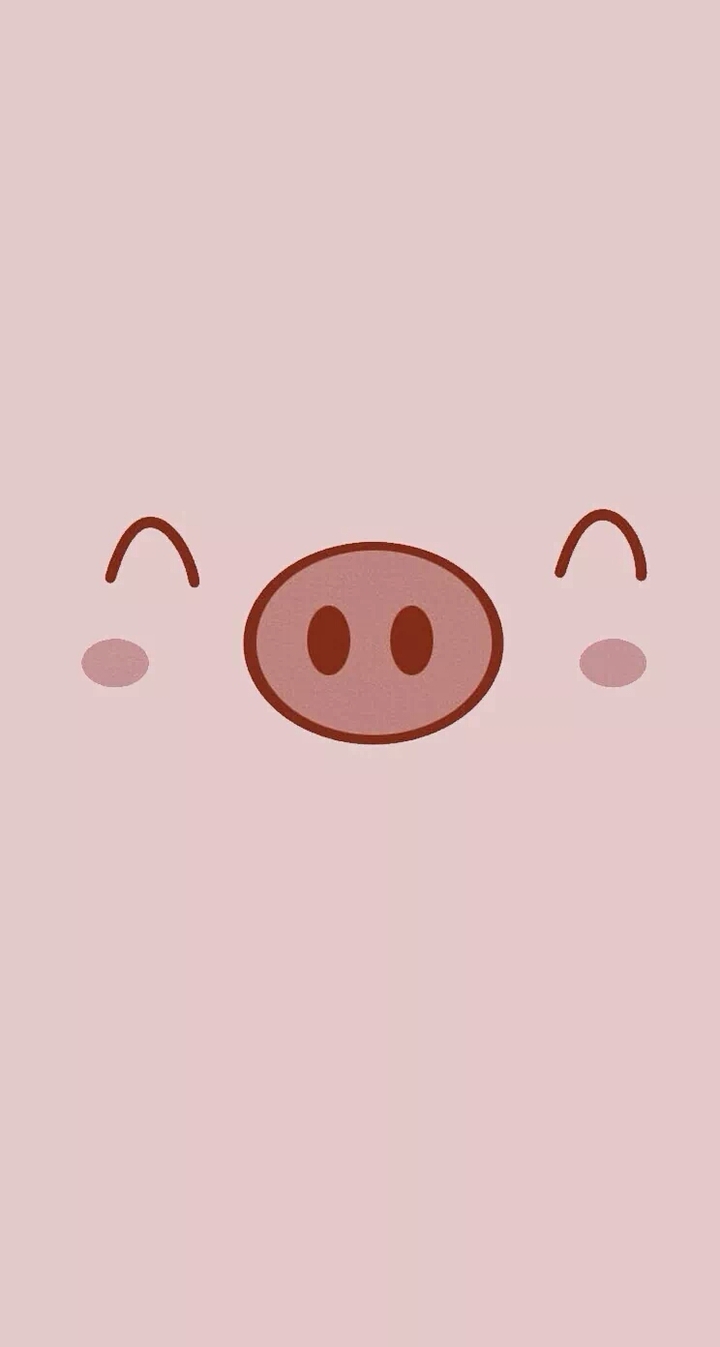 happy pig
