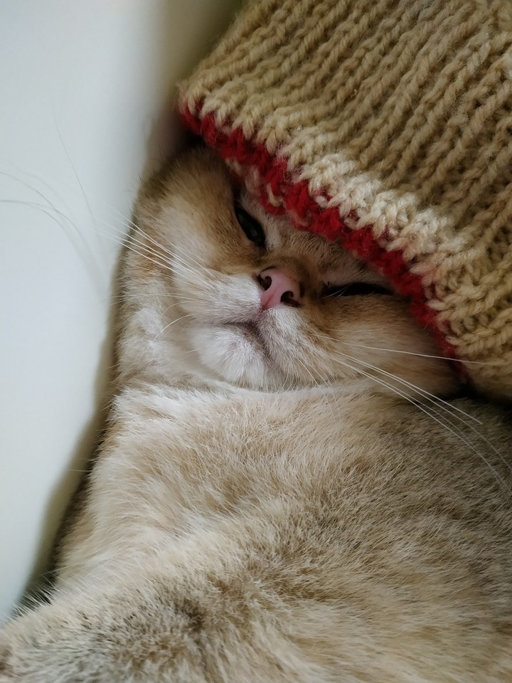 милаш