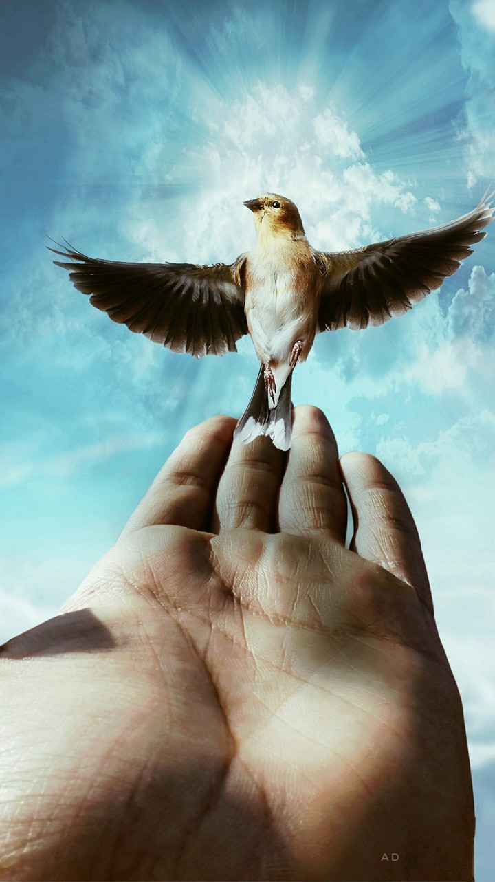You will find GOD in your self !