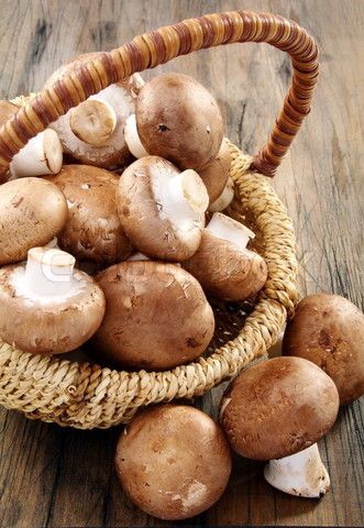 Mushroom