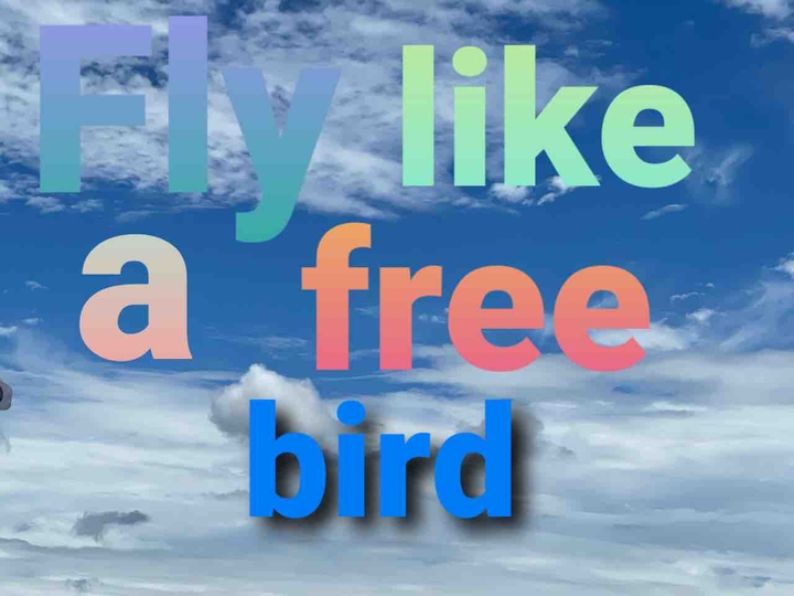 fly
