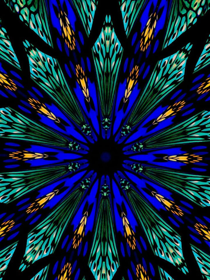 goofing off butterflies kaleidoscope