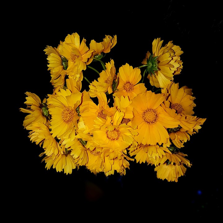 Bouquet of gold