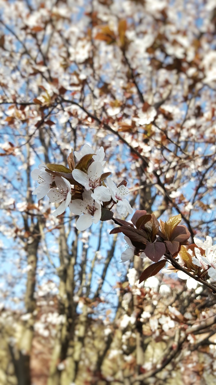 spring inspiration
