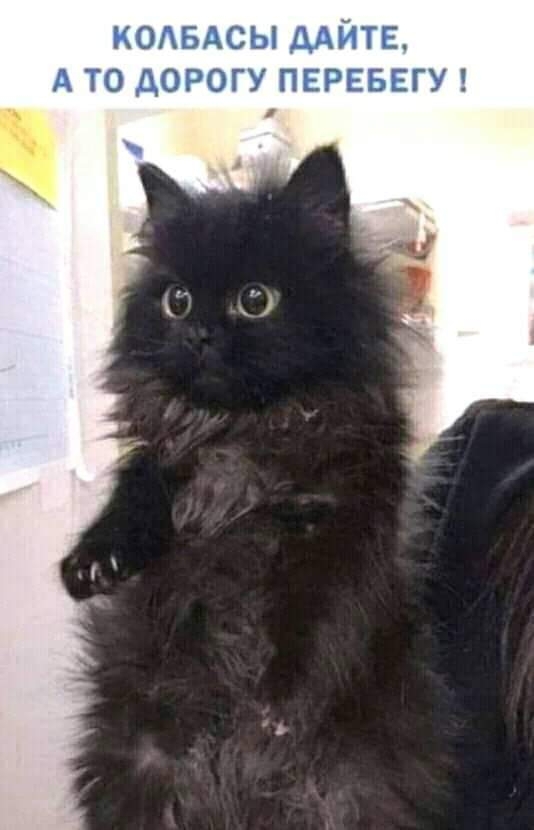 Няшка