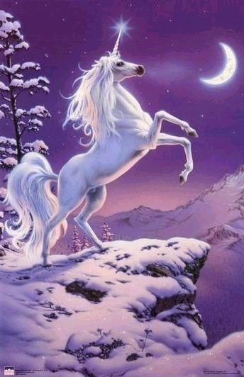 unicorn