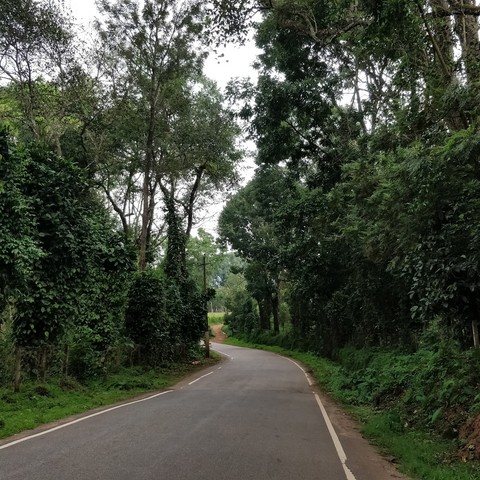 Country Roads..