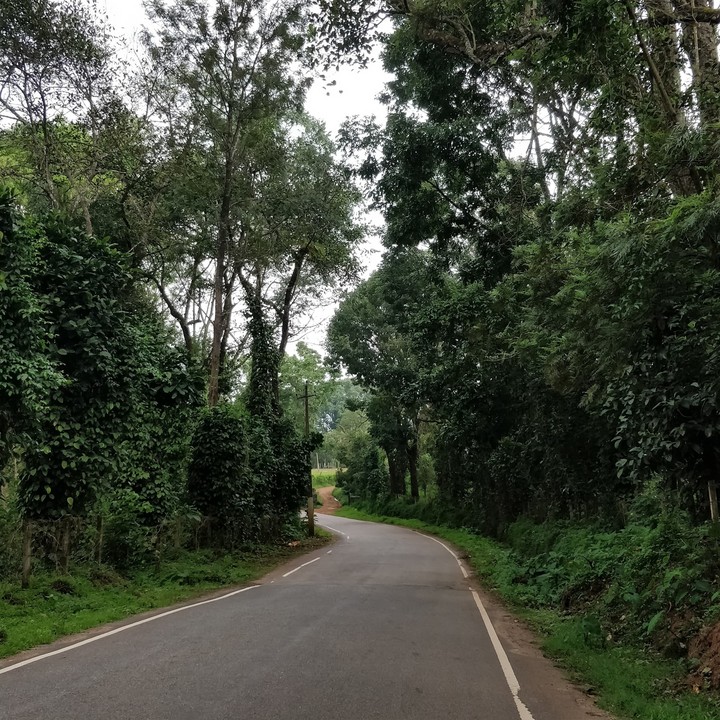 Country Roads..