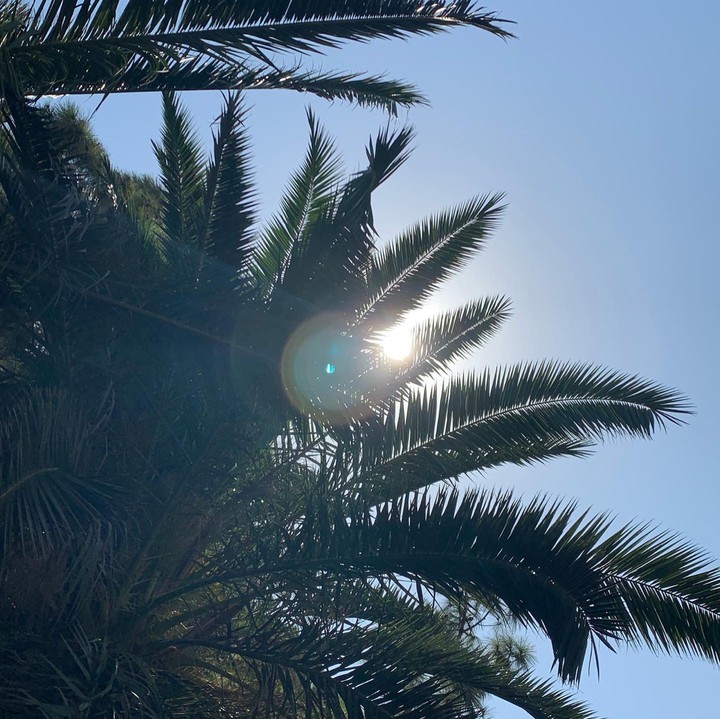 sunshine