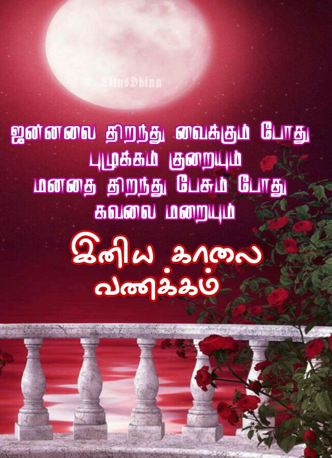 Good morning