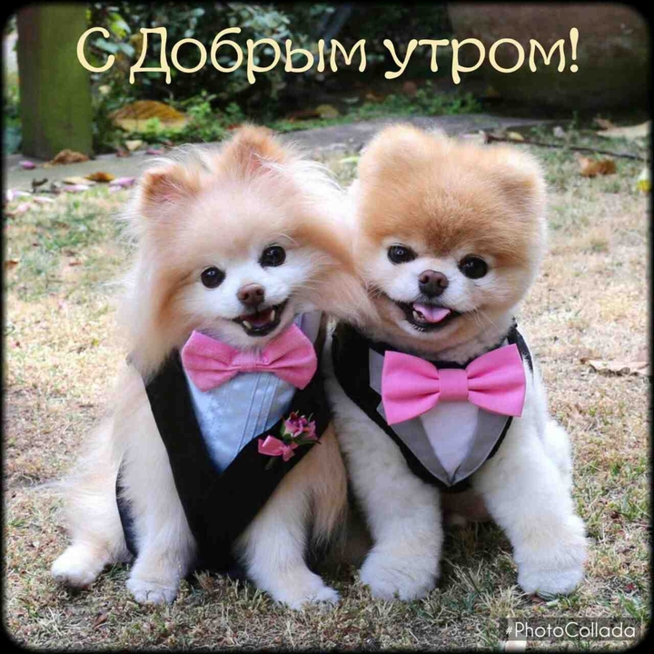 ☺☺☺