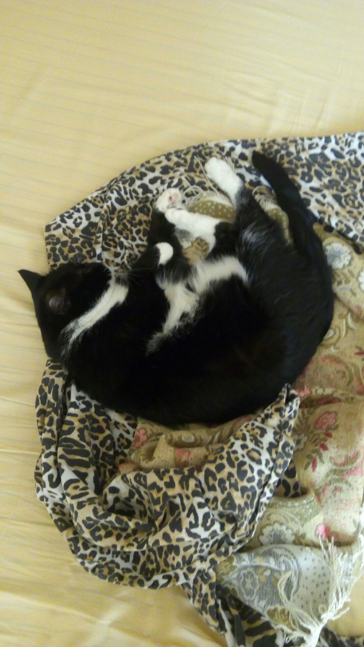 Sleeping beauty