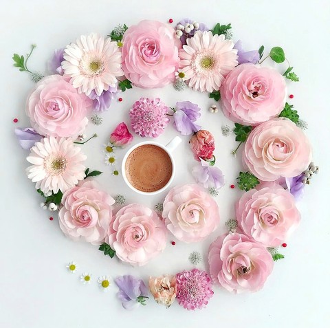 Good morning ❤️