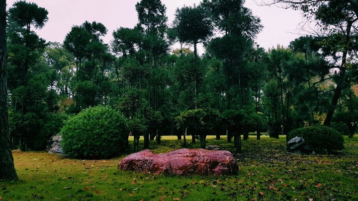 Japanese garden