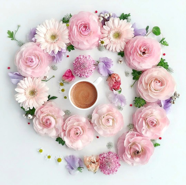 Good morning ❤️