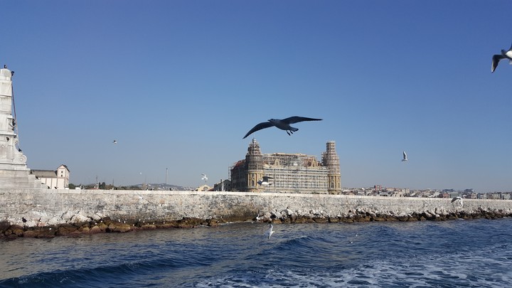 #turkey