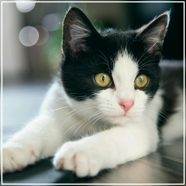 Cute