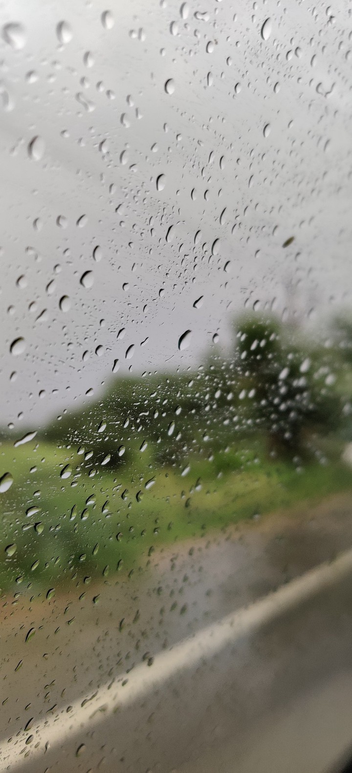 Rain
