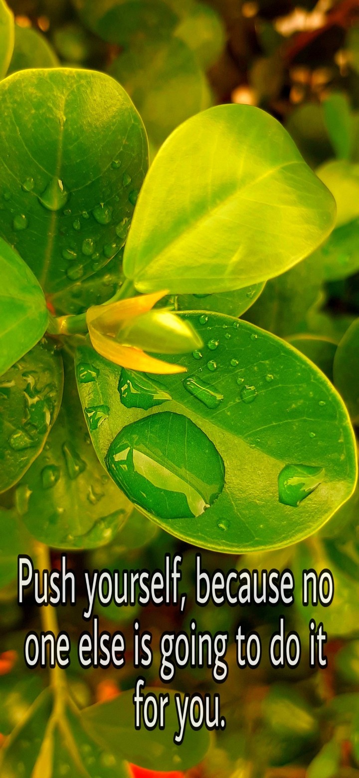 quotes