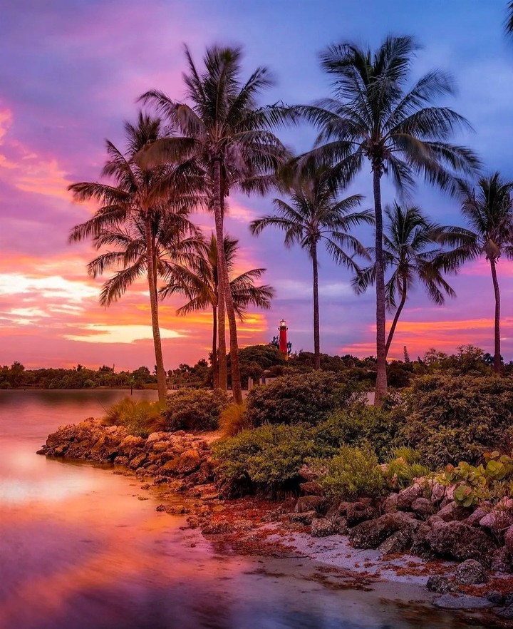Nature's Beauty