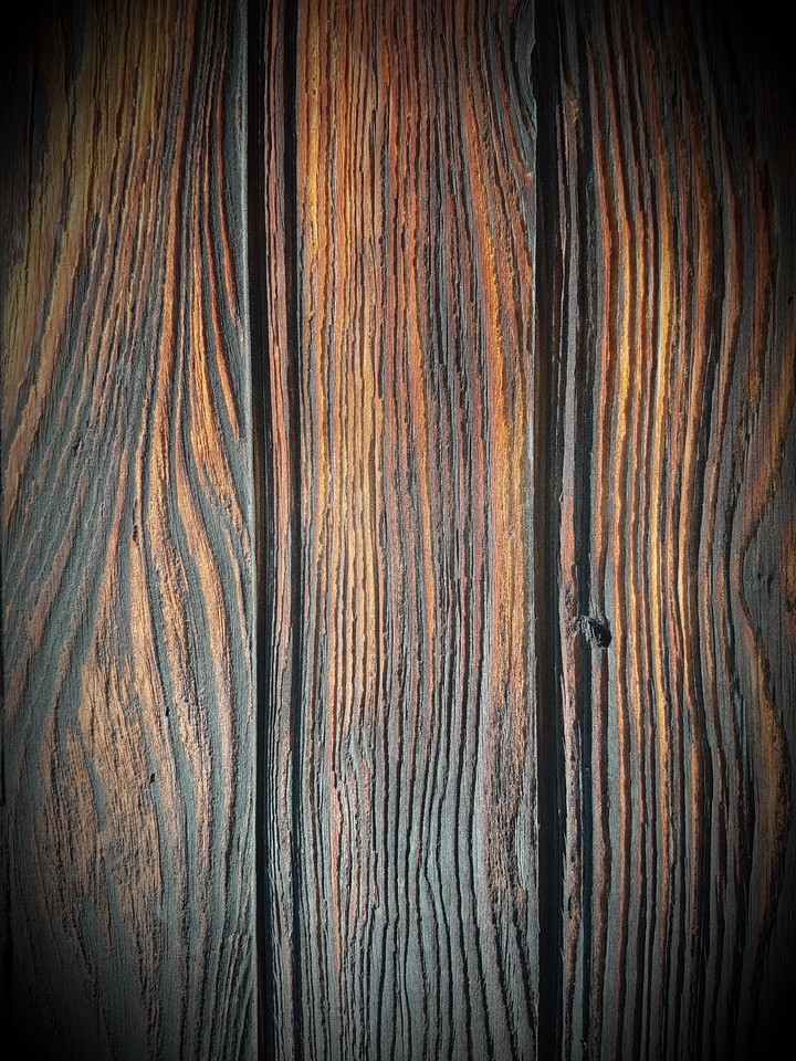 planche de bois d'arbre