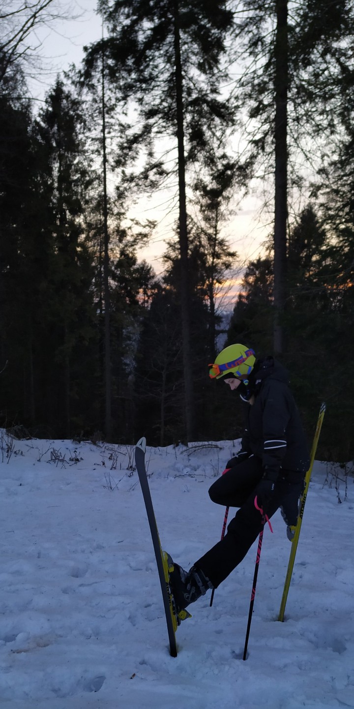 Ski