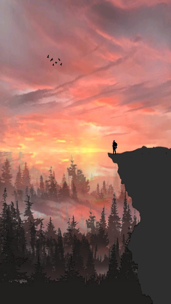 The Wanderer