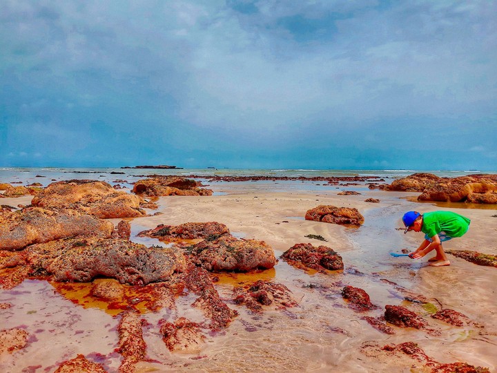 Sea