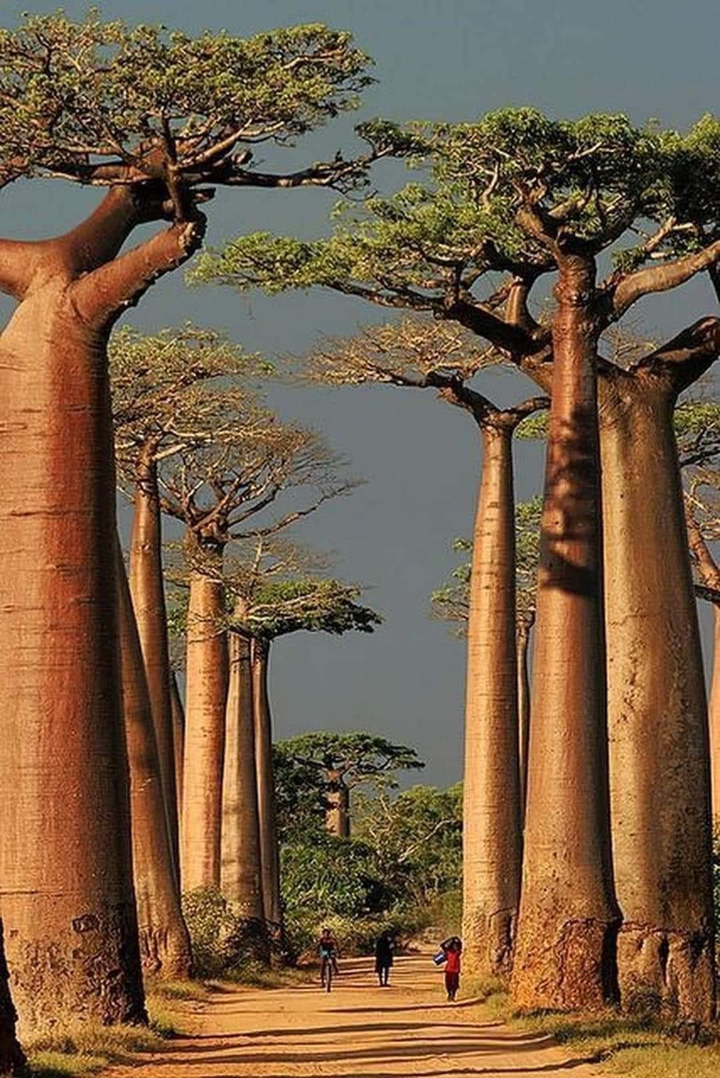 ???