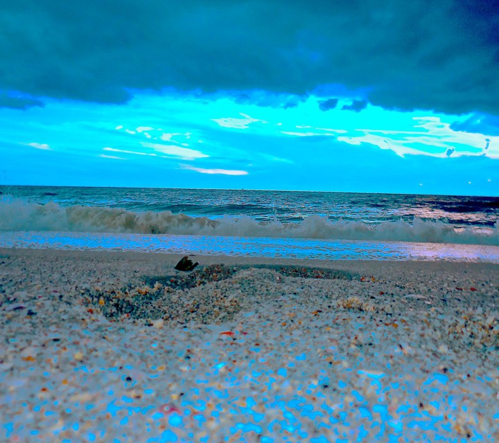 beautiful sea