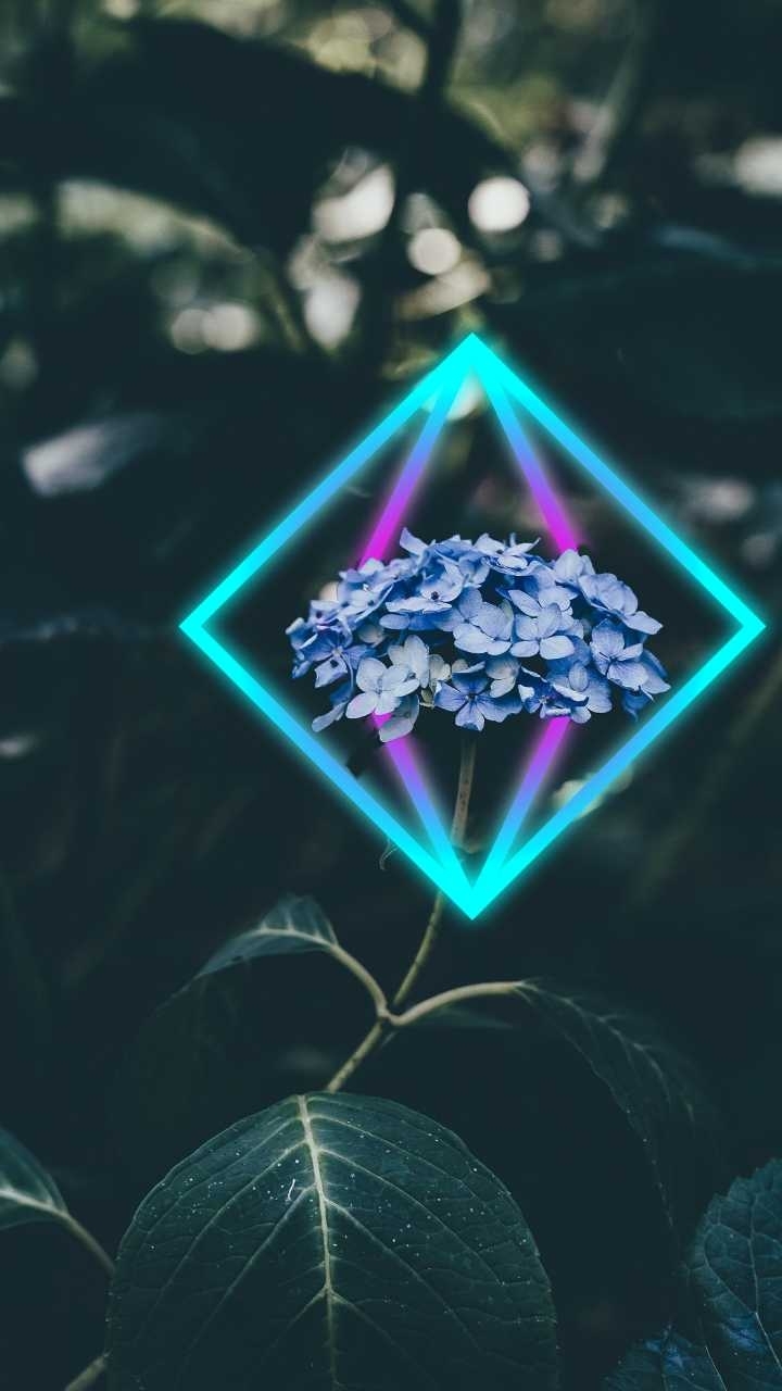 Flower Glow