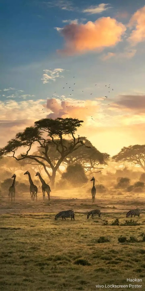 Sunset Jungle
