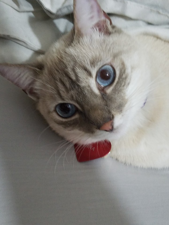 Nina