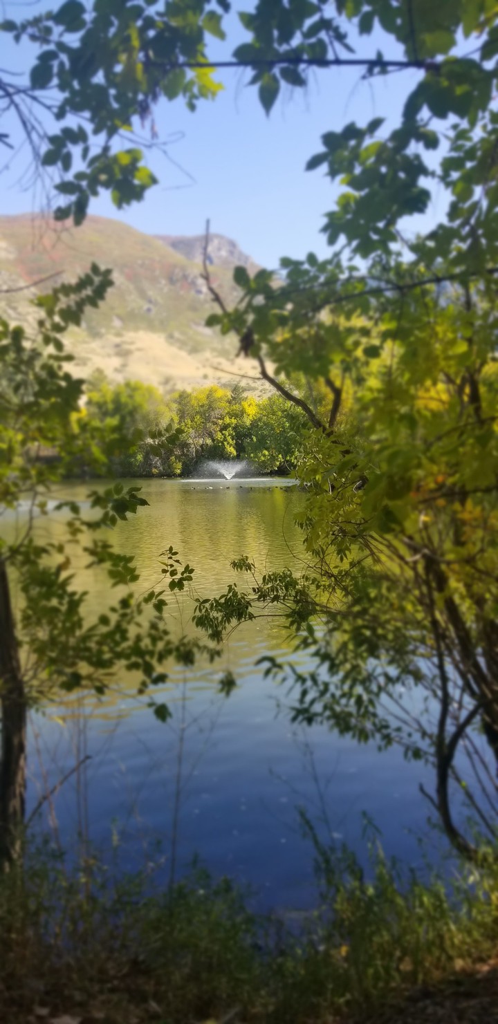 Lagoon