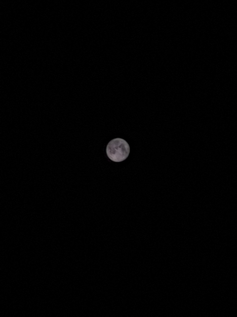 Super Moon 2020