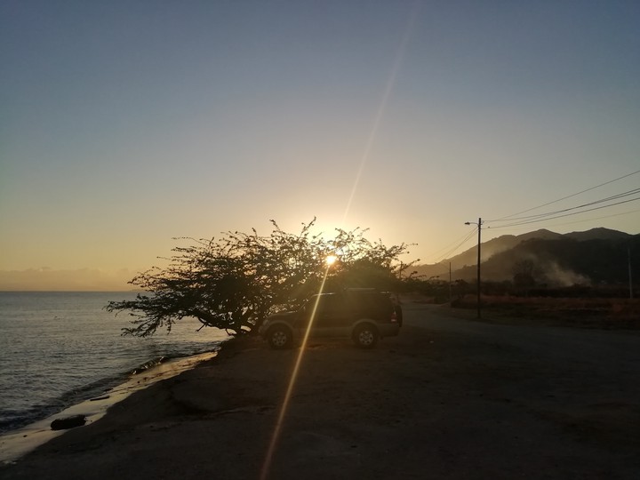 paradise