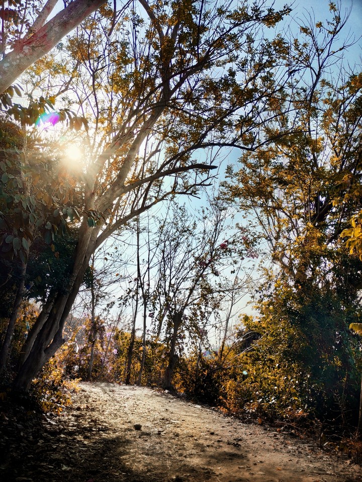 Walking