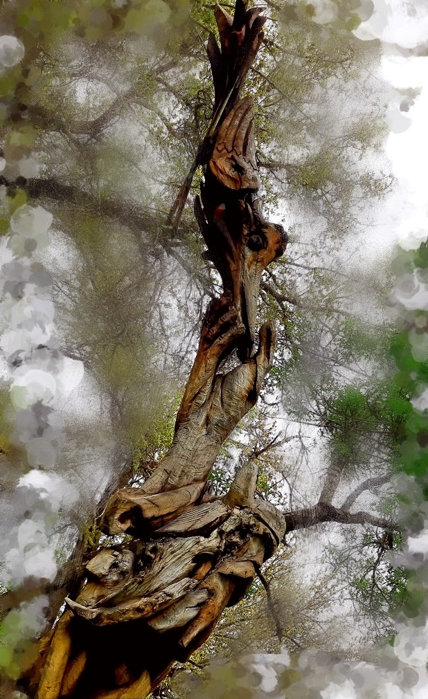 tree
