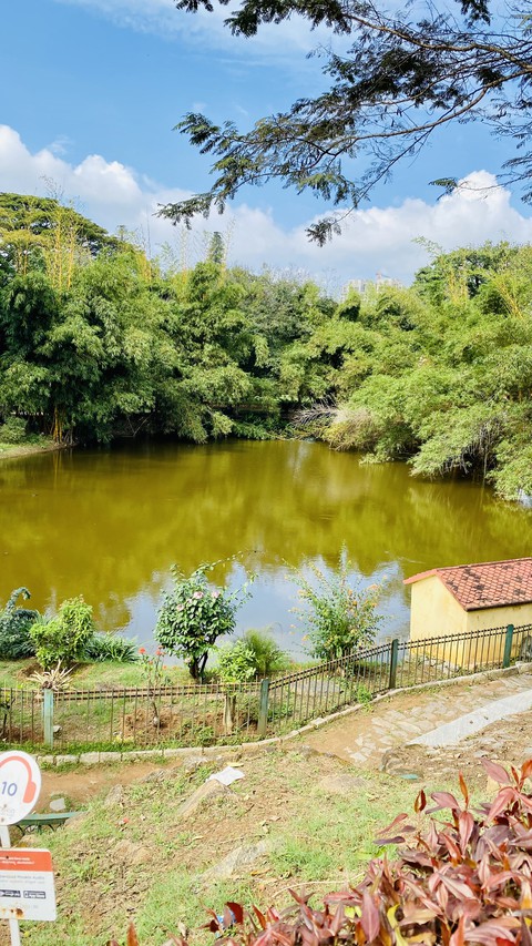 lake side view