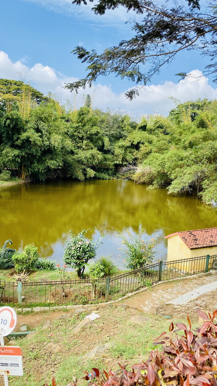 lake side view