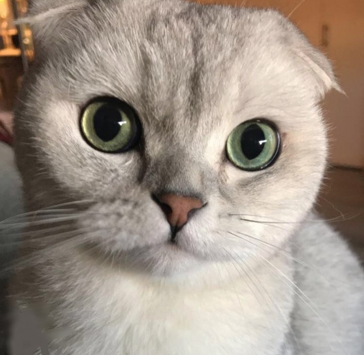 ket